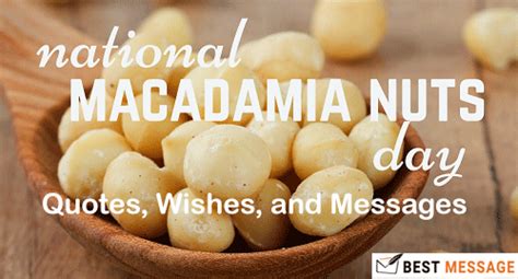 National Macadamia Nut Day Quotes Wishes And Messages Bd Career Org