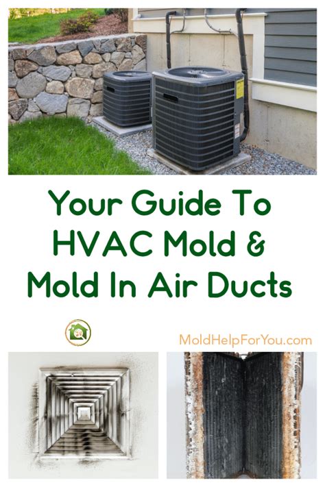 Your Guide To Hvac Mold Mold In Air Ducts Mold Help For You
