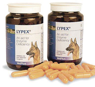 Great for dogs with arthritis or those with joint conditions. Lypex Pancreatic Enzyme Capsules for Dogs (Pack of 60 ...