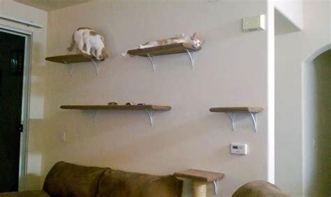 How we made our DIY wall-mounted cat tree | Offbeat Home ... It's fun buying stuff for our precious pets but it's even better when we get creative and make something special for them.