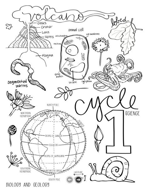 Science 3 Cycles Of Coloring Pages 5th Edition Etsy Free Coloring