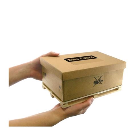 Geschenkset Wikinger mit echtem Füllhorn!