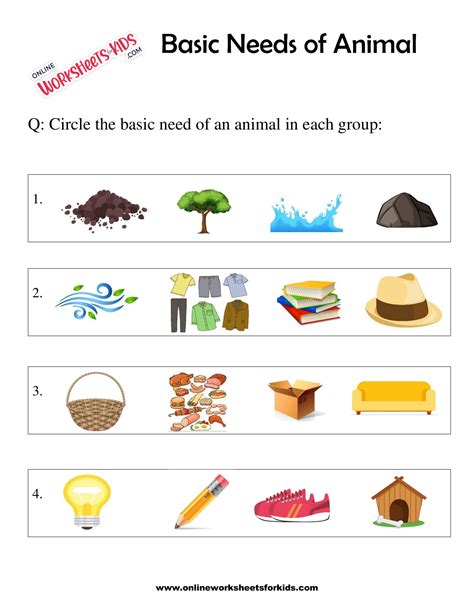 Basic Needs Of Animal Worksheet For Grade 1 6