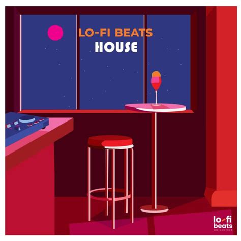 Lo Fi Beats House Vinyl Various Artists