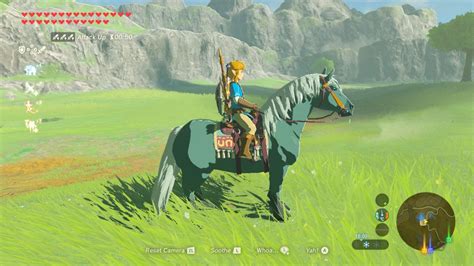 The wild camel (camelus ferus), a new and separate species, lives in three separated habitats in china and one in mongolia. The best horses in Legend of Zelda: Breath of the Wild ...