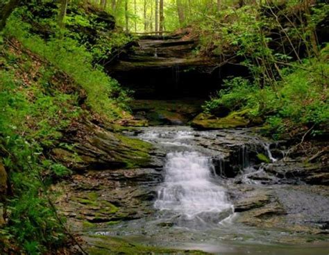 Dry Fork Gorge Hiking Trail Kentucky Tourism State Of
