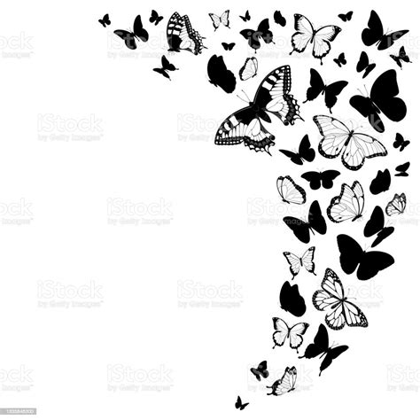 Black And White Butterflies Design Isolated On White Vector
