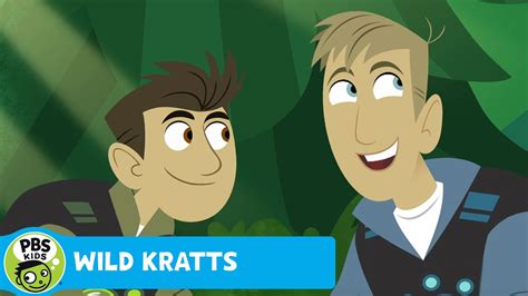 Wild Kratts Looking For Bears Pbs Kids Youtube