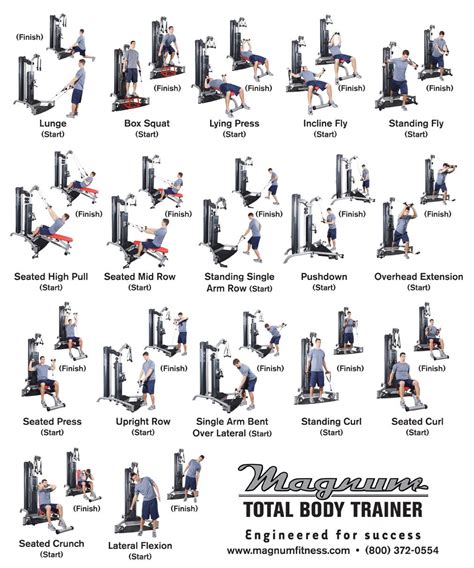 Printable Free Multi Gym Exercises Chart