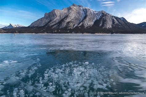 Abraham Lake Bubbles How To See The Frozen Bubbles In Abraham Lake