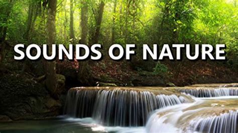 Free Nature Soundssound Effects Youtube