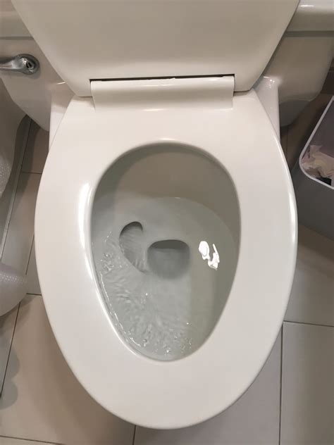 This Toilet Has Two Holes And One Looks Like An Ear Rmildlyinteresting