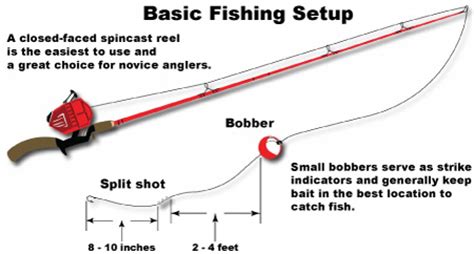 Learn bass fishing rigs basics from professionals. Best Fishing Pole Setup For Trout - All About Fishing