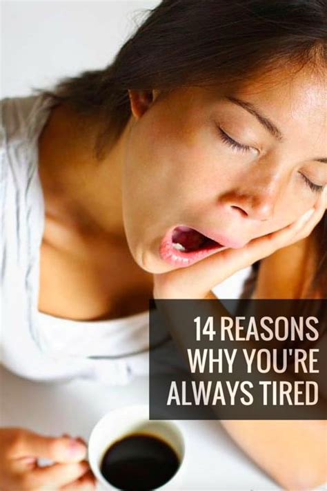 Fitnessforevertips 14 Reasons Why Youre Always So Tired Are You