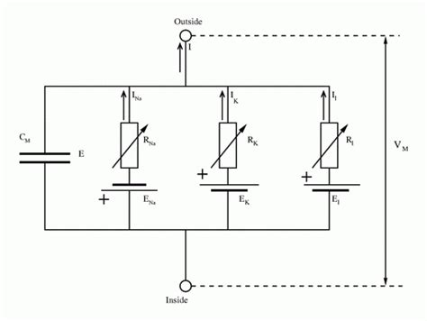 It shows the components of the circuit as simplified shapes, and the power and signal connections between the devices. Define Wiring Diagram - Wiring Diagram And Schematic ...