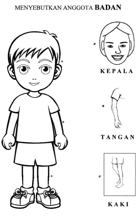 Mewarnai Gambar Anggota Tubuh Manusia