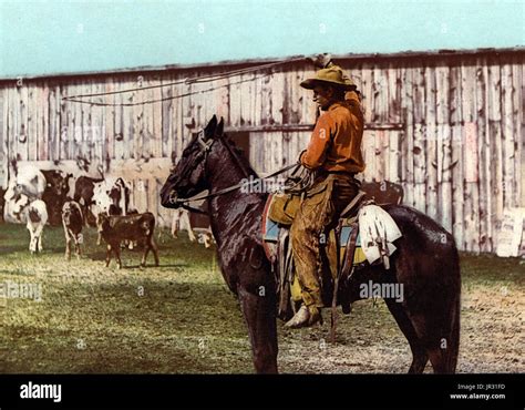 The Historic American Cowboy Of The Late 19th Century Arose From The