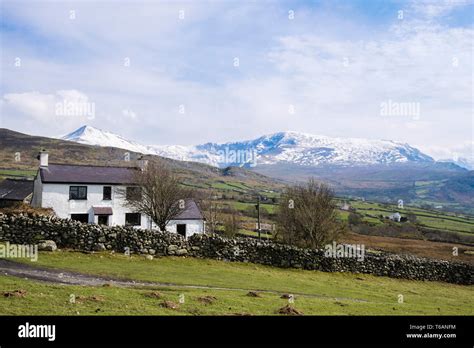 Farmhouse On Welsh Hill Farm In Hills Of Northern Snowdonia National