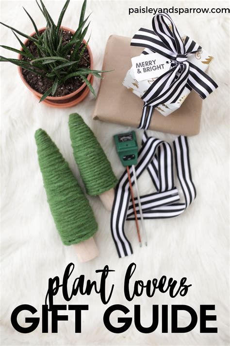 Our market research team had conducted a survey, contacting many plant lovers as to what gift they want on any occasion. 20 Best Perfect Gifts for Plant Lovers - Unique Plant ...