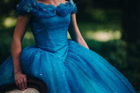 Cinderella Disney Dress Costume Cosplay Gown 2015 Live Action