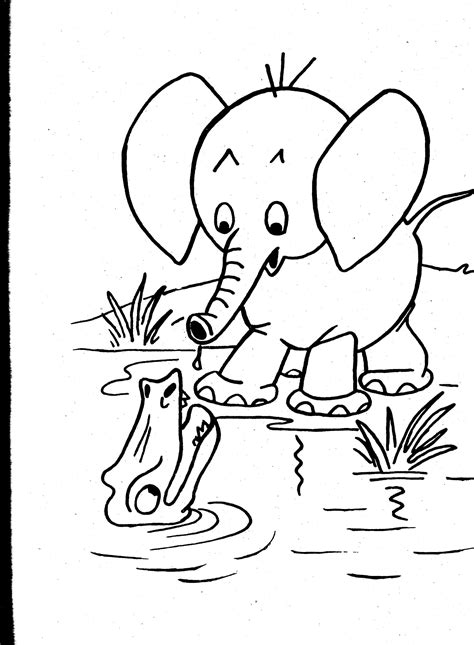 Color pictures email pictures and more with these jungle animals coloring pages. Wild Animal Coloring Pages - Get Coloring Pages