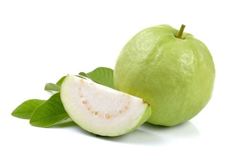 Jual jambu daun merah dengan harga rp35.000 dari toko online grosir bibit tanaman, kota batu. Daun Jambu Biji Berkembang Biak Dengan Cara - Eva