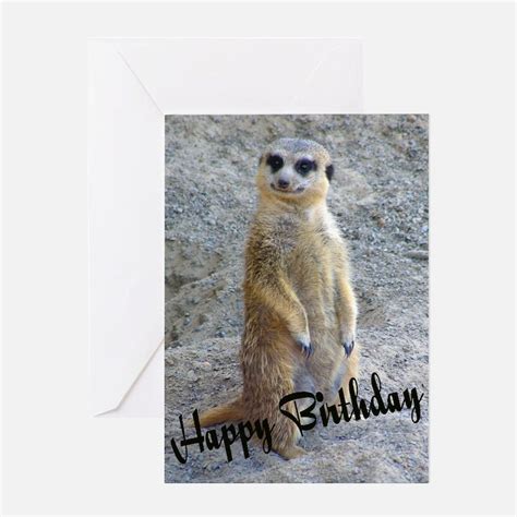 Meerkat Greeting Cards Card Ideas Sayings Designs And Templates