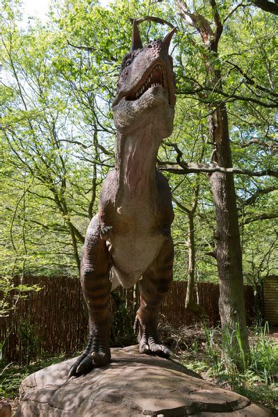 Carnotaurus Dinosaurus Gratis Stock Fotos Rgbstock Gratis