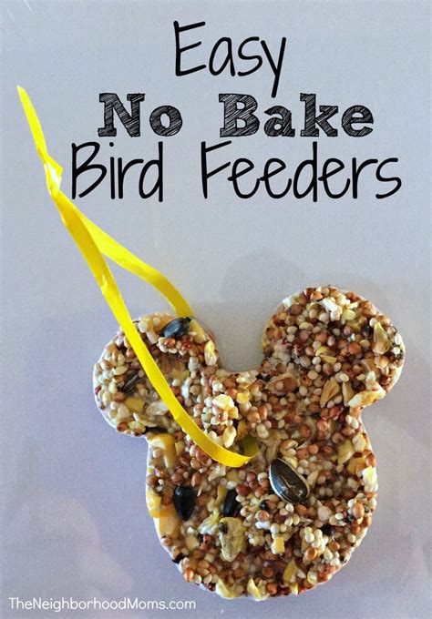We Made Easy No Bake Bird Feeders Using Coconut Oil For