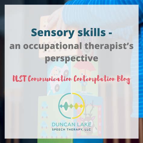 Sensory Skills An Occupational Therapists Perspective Duncan Lake