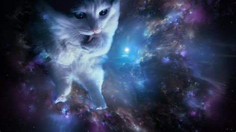 Cats In Space Wallpapers Top Những Hình Ảnh Đẹp