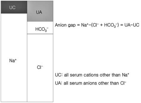 Anion Gap Calculation Anion Gap Blood Test Causes Of High Or Low