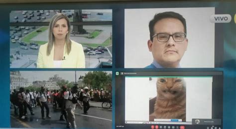 Meme de gato aparece en transmisión en vivo y causa furor en redes