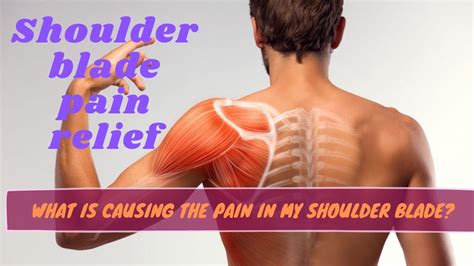 Shoulder Blade Pain Relief What Is Causing The Pain In My Shoulder