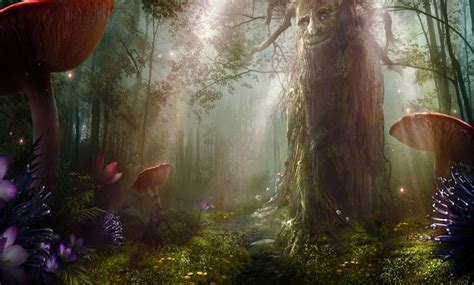 The Faerie Realm Photo Enchanted Forest Enchanted Magical Forest