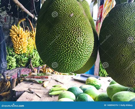 Large Ripe Jackfruit Hanging At A Fruit Market Stock Photo Image Of