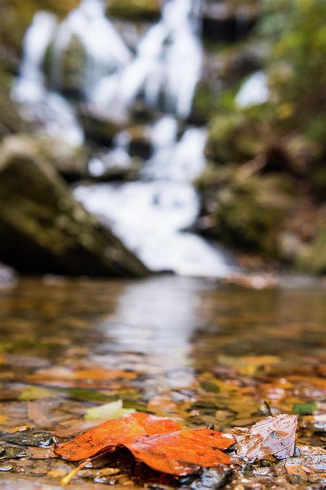 Autumn Leaf At The Base Of A Waterfall Photograph By Tammy Ray Fine