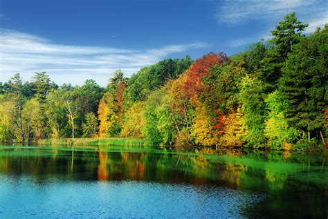 Autumn Lake Forests Trees Hd Wallpaper Rare Gallery