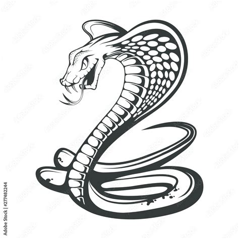 Black King Cobra Logo Snake Tattoo Indian Cobra Illustration Drawing