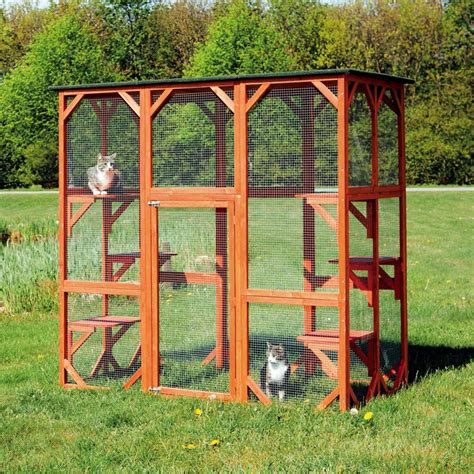 Ultimate Guide To Outdoor Cat Enclosures Foter
