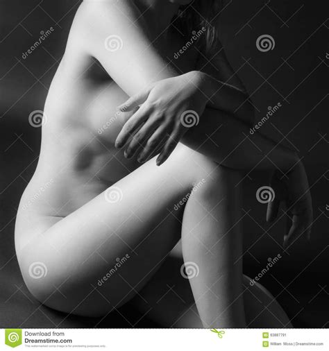 Feiner Art Nude Des Torsos Der Frau Stockbild Bild Von Angedeutet