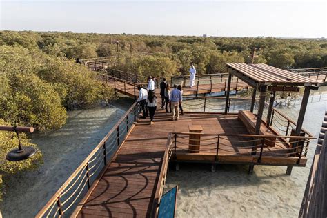 Abu Dhabis Mangrove Walk Is Now Open To The Public