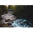 River In Brandywine Creek Delaware US State Wallapaper  HD Wallpapers