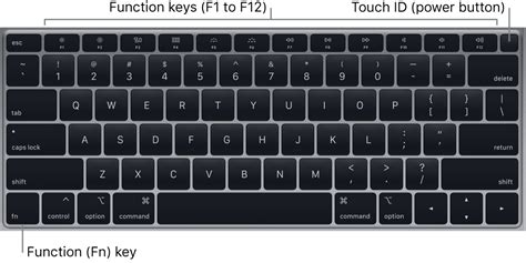 Macbook Air Keyboard Apple Support