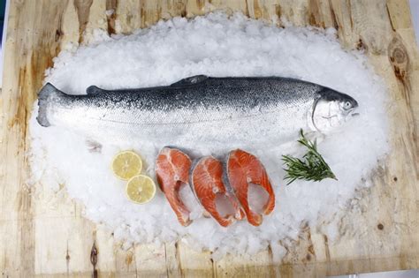Fresh Salmon Whole Fish Fish Kl Malaysia Wholesaler Distributor