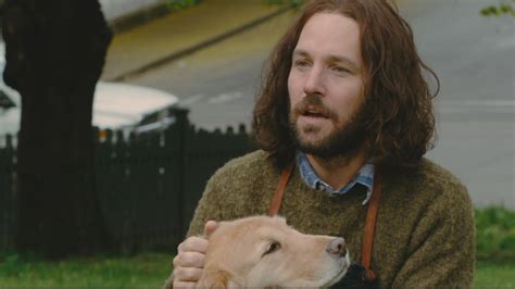 Our Idiot Brother Paul Rudd Image Fanpop