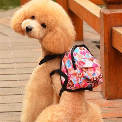 Buy Cartoon Cute Dog Backpack Canvas