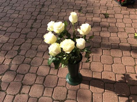 11. Rózsa, I. osztályú, nagyfejű, friss, 60 cm | Farkasréti Virág