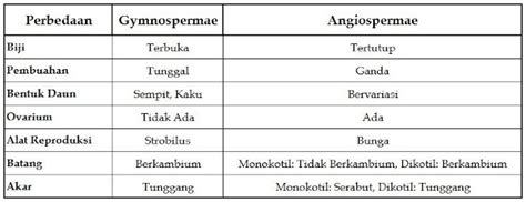Perbedaan Gymnospermae Dan Angiospermae PANGRANGOPRINT