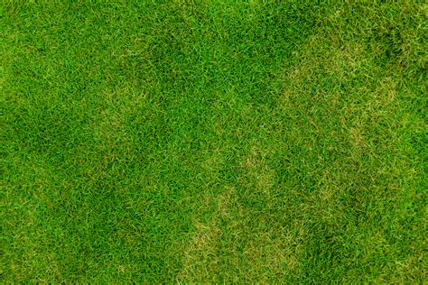 Grass Pattern Free Stock Photo Public Domain Pictures